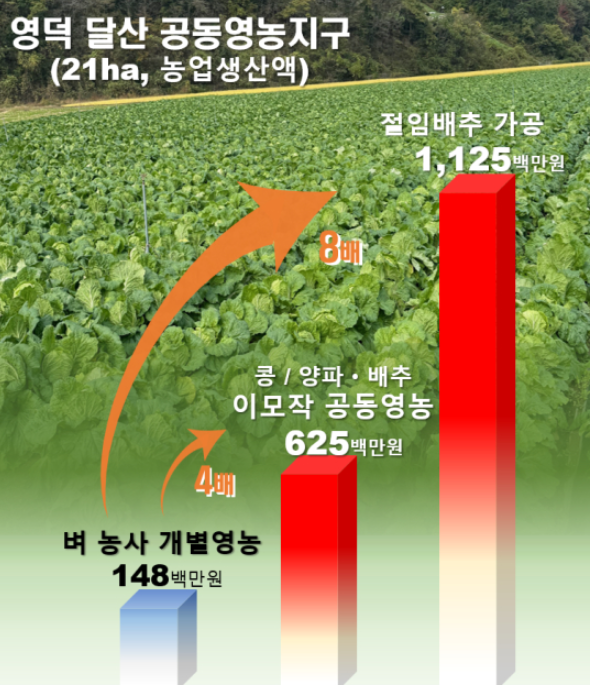 영덕 달산 공동영농지구 농업생산액 비교표. 경북도 제공