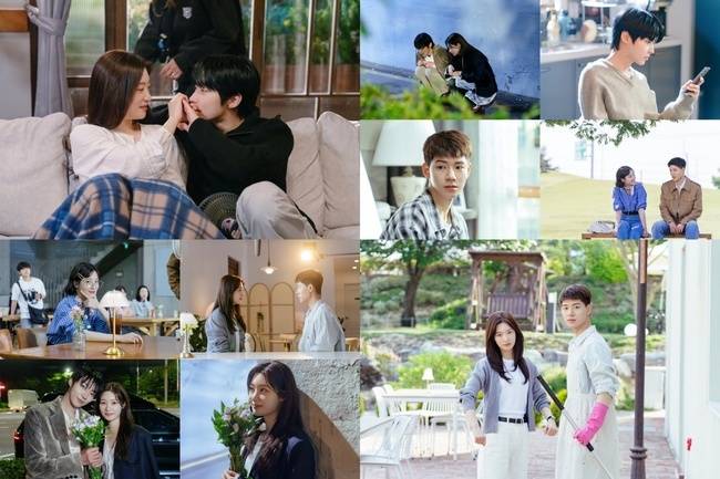 사진=하이지음스튜디오, 베이스스토리, SLL