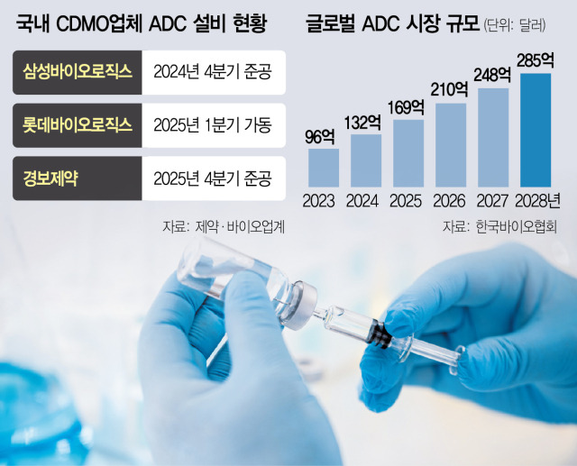 사진 설명