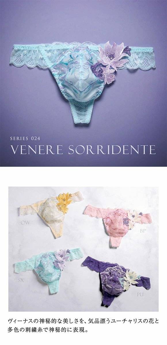 성진국 승부팬티 근황.jpg