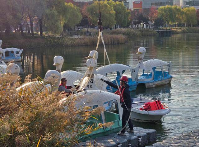 인부들이 지난 14일 대구 수성못에서 오리배를 철거하기 위해 작업을 하고 있다. 전준호 기자