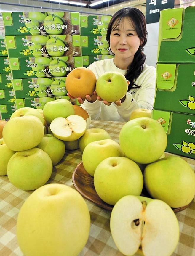 농식품 전문 매장 농협 하나로마트를 운영하는 농협유통·농협하나로유통은 겨울에 즐기기 좋은 과일로 신품종 배 ‘그린시스’를 선보였다. [사진 = 농협유통 제공]