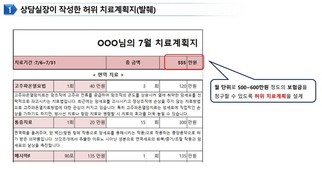 상담실장이 작성한 허위 치료계획지. 금융감독원