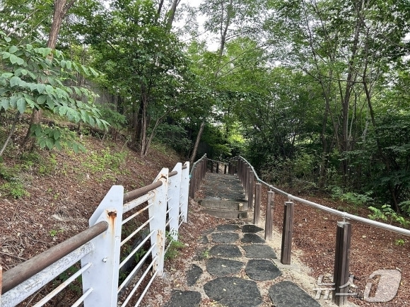 서울 종로구 국립 서울맹학교 뒷산(종로구 제공)