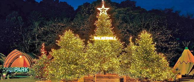 워커힐 호텔앤리조트 야외 피크닉 공간 ‘포레스트 파크’에 설치된 대형 트리.  워커힐 호텔앤리조트 제공