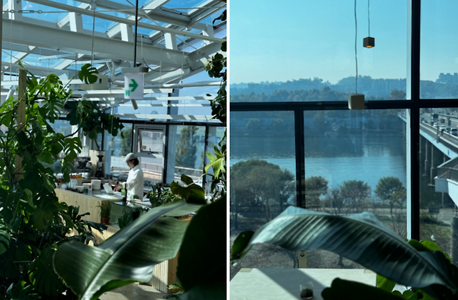 어반플랜트 한강대교 / 사진=카페 진정성 인스타그램