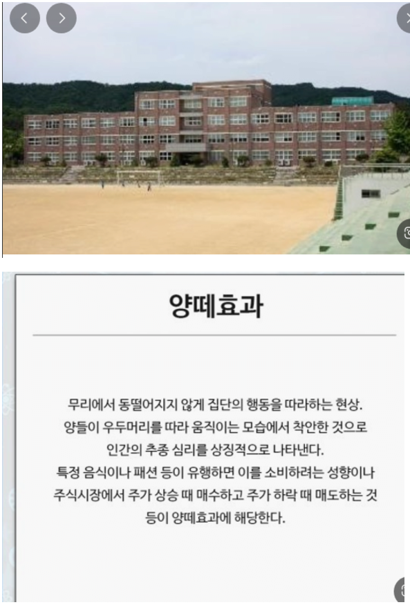 image.png 중학교 문제가 심각한이유 가장 심각한 중학교 문제