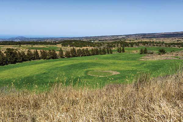 가메오름 능선에서 본 '맹꽁이왓' 습지. 뒤로 오름이 거의 없는 애월읍 풍광이 이채롭다.