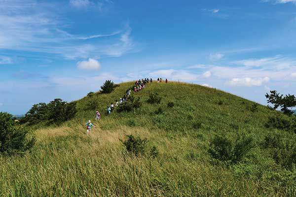초지대를 이룬 누운오름의 북쪽 봉우리. 풀숲엔 녹슨 철조망도 있어서 주의해야 한다.