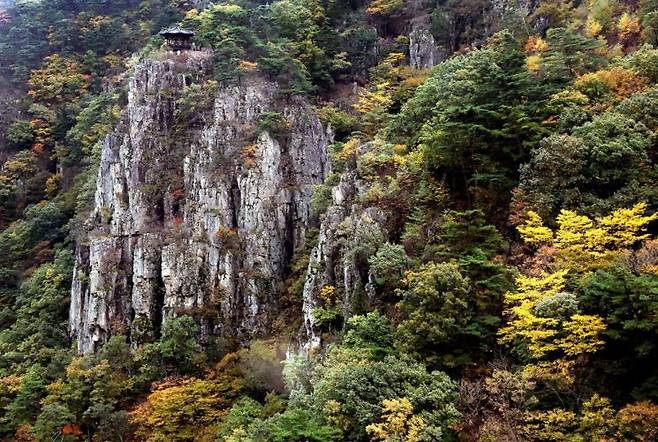 소금강 전망대 가는길에서 바라본 가을빛 내연산과 학소대.