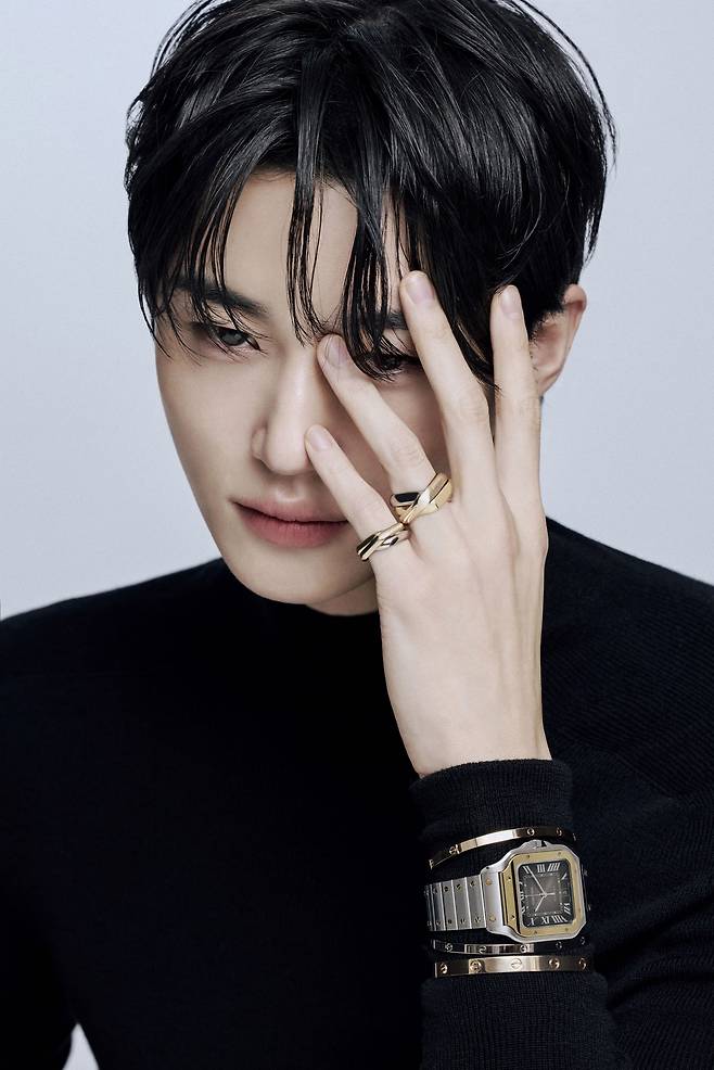 까르띠에 앰버서더에 합류한 배우 변우석./까르띠에