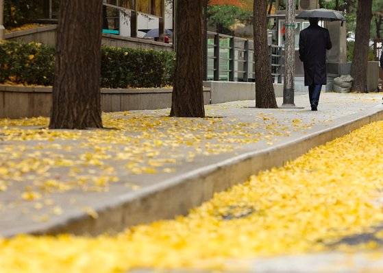 비가 내린 21일 오후 서울 종로구 거리에서 우산을 쓴 시민들이 발걸음을 옮기고 있다. 뉴시스