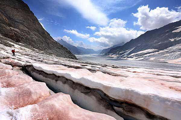 알프스 빙하는 빠르게 녹고 있어 2100년이면 빙하가 사라질 것으로 예상된다. 기후 변화의 현장이자 100년 뒤에는 볼 수 없는 특별한 풍경이다.