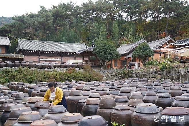 전남 담양군 창평면 장흥 고씨 양진재 종가의 항아리 풍경. 전승훈 기자 raphy@donga.com