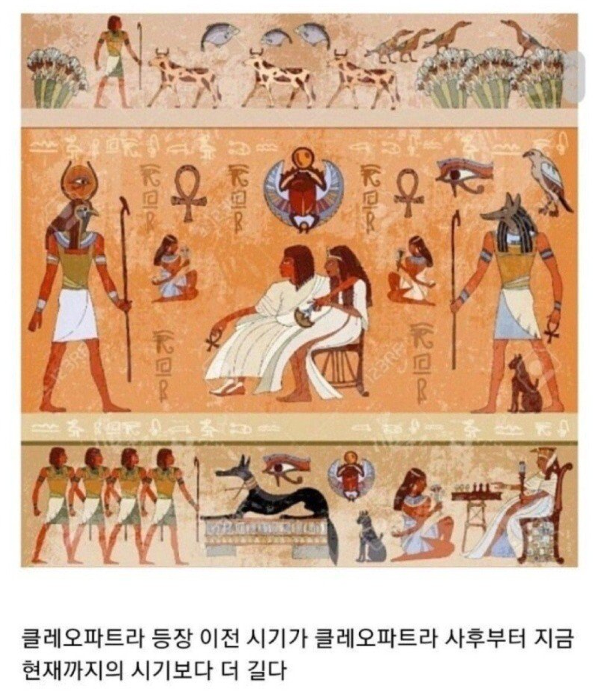 image.png 이집트 역사 체감짤