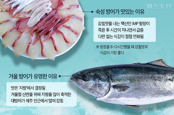 그래픽=최우연