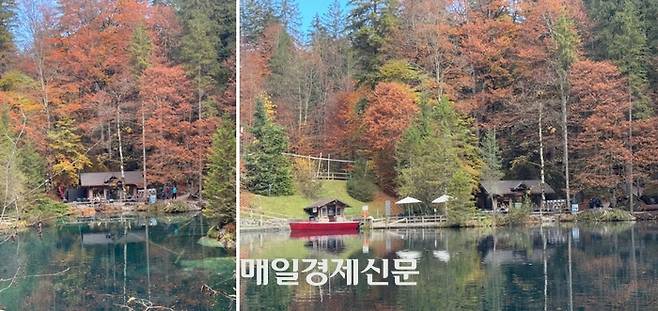 블라우제의 가을 / 사진=홍지연 여행+ 기자