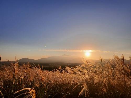 산굼부리의 억새 물결