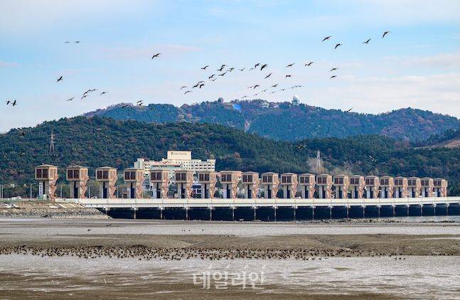 금강하구둑과 철새들의 조화는 카메라 셔터를 누를 수 밖에 없는 아름다운 모습이다. 반대편 철새전망대도 좋은 사진 포인트다. ⓒ데일리안 배군득 기자