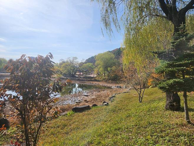 20241125_114039.jpg 늦가을 보라매공원 사진 보고 가라