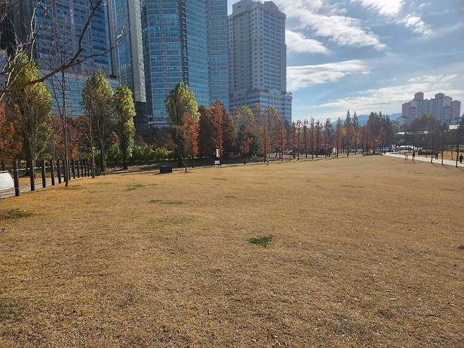 20241125_115445.jpg 늦가을 보라매공원 사진 보고 가라