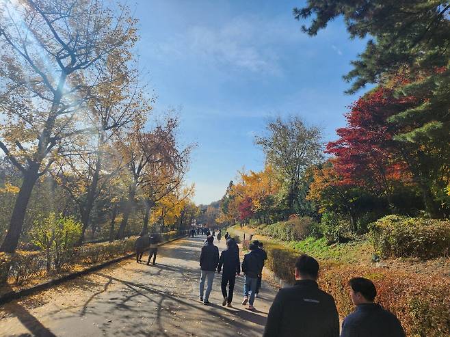 20241125_120419.jpg 늦가을 보라매공원 사진 보고 가라