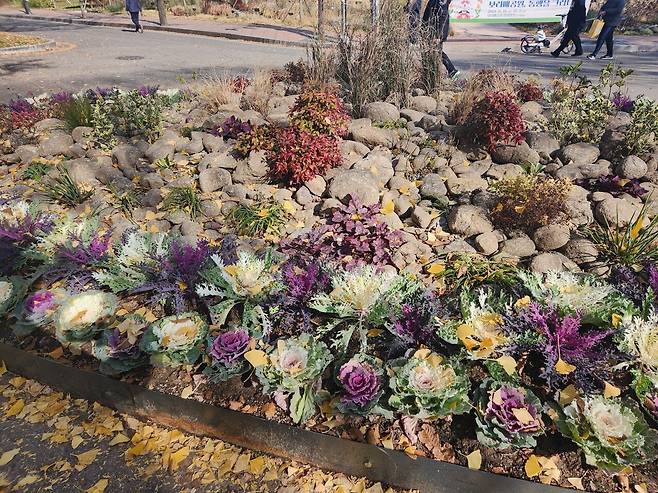 20241125_120402.jpg 늦가을 보라매공원 사진 보고 가라