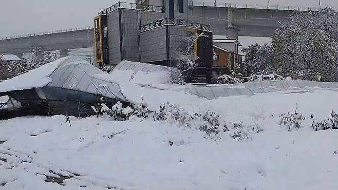 폭설로 무너진 비닐하우스 [자료사진]