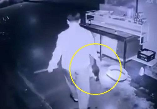 A씨가 축 늘어진 새끼 고양이의 꼬리를 잡고 잡아가는 모습. 연합뉴스