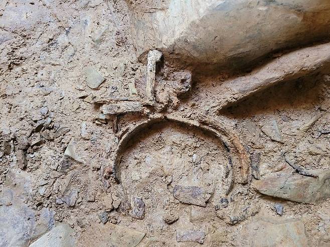 [창녕=뉴시스] 창녕 계성고분군 19호분 출토 등자. (사진=창녕군 제공) 2024.11.27. photo@newsis.com *재판매 및 DB 금지