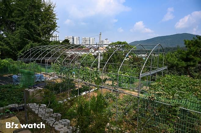 /사진=이명근 기자 qwe123@