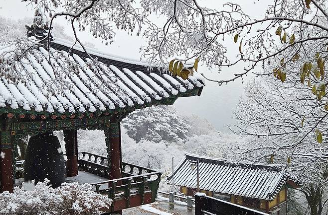 첫눈이 내린 27일 무등산국립공원 원효사에 소복히 눈이 쌓였다./김영근 기자