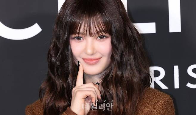 ⓒ데일리안 방규현 기자