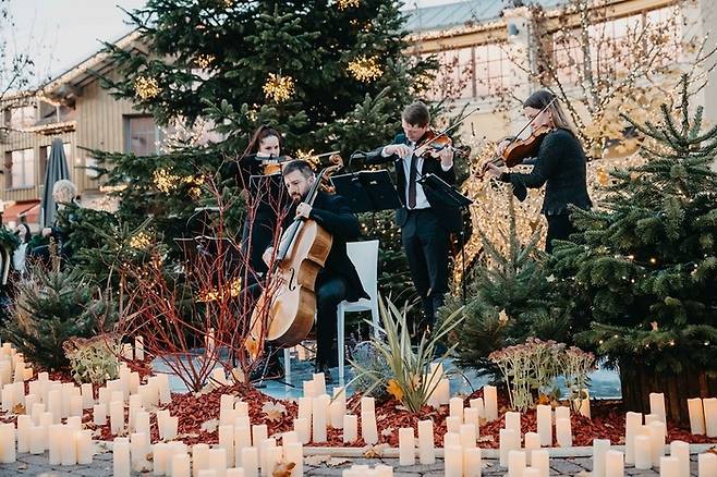 베르트하임 빌리지. /사진= 비스터 컬렉션