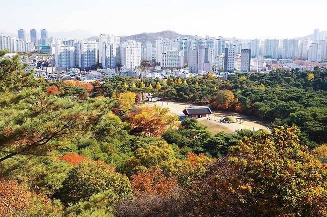 서울 의릉 전경 이정근 사진작가 촬영 [국가유산청 궁능유적본부 제공. 재판매 및 DB 금지]