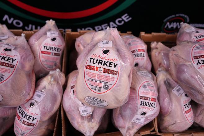 지난 26일 미국 뉴욕의 '전미 행동 네트워크(NAN)' 본부에 칠면조가 놓여 있다. /로이터 뉴스1