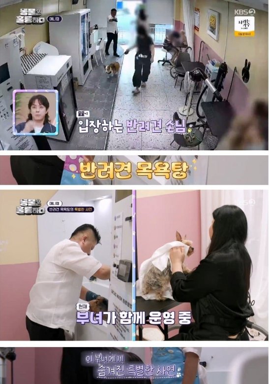 image.png 보신탕집 운영하다가 강아지 목욕탕으로 업종변경한 업자