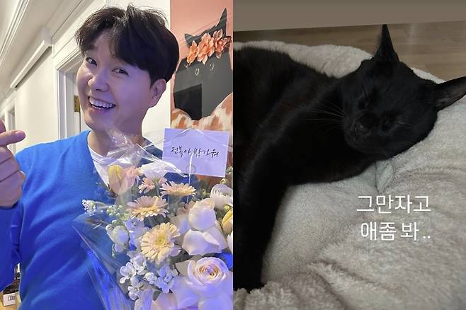 ▲ 박수홍(왼쪽)과 반려묘 다홍이. 출처| 박수홍 인스타그램