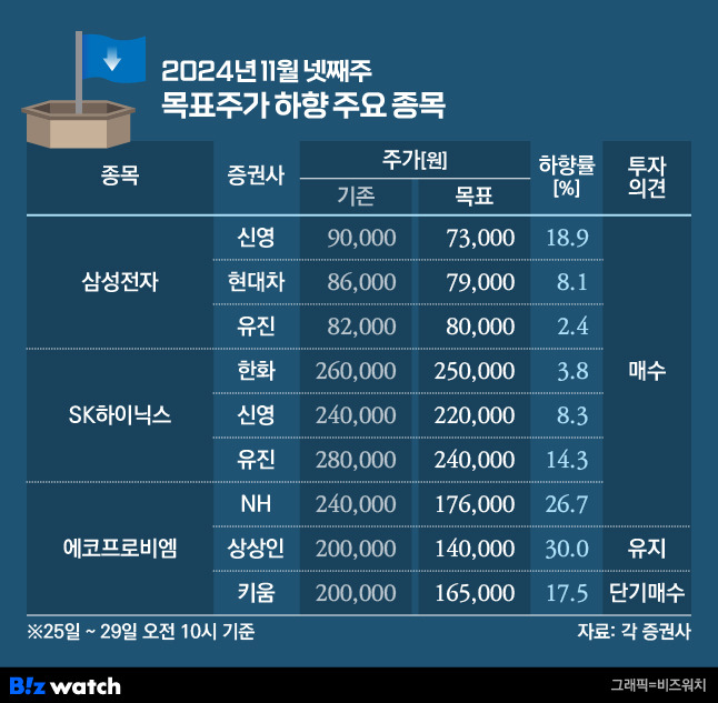 2024년 11월 넷째주 목표주가 하향 주요 목록/그래픽=비즈워치