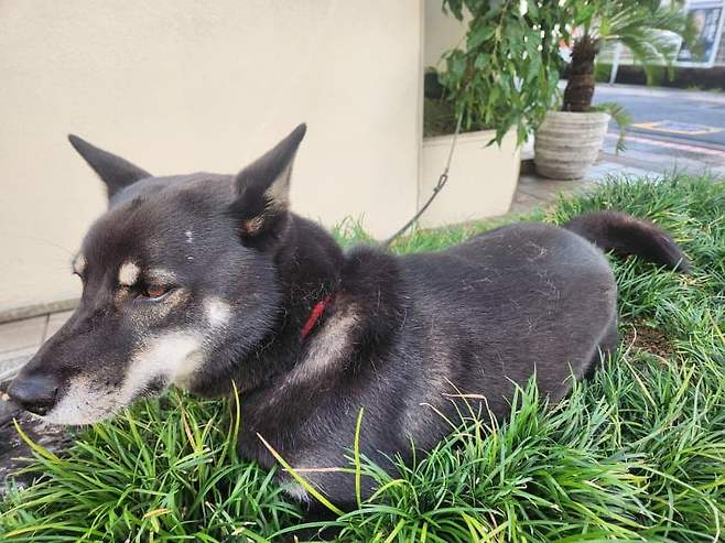 7fed8272b58568f451ee81e443847c7317de7d231595e48ac6925b76818a55db