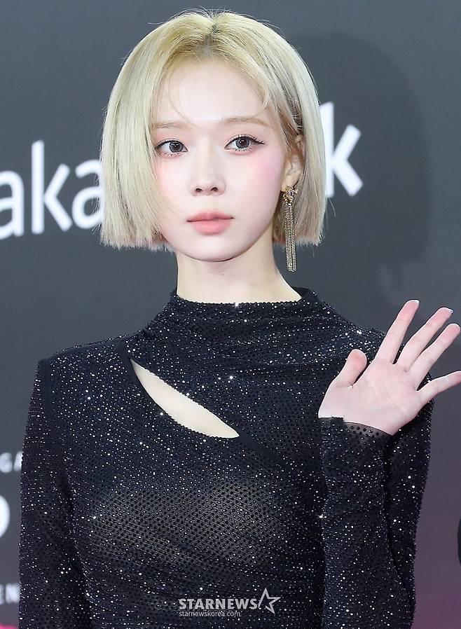 에스파 윈터가 30일 오후 인천 중구 인스파이어 아레나에서 진행된 'MMA 2024'(제16회 멜론 뮤직어워드) 레드카펫 행사에 참석해 포즈를 취하고 있다. 2024.11.30 /사진=김창현 chmt@