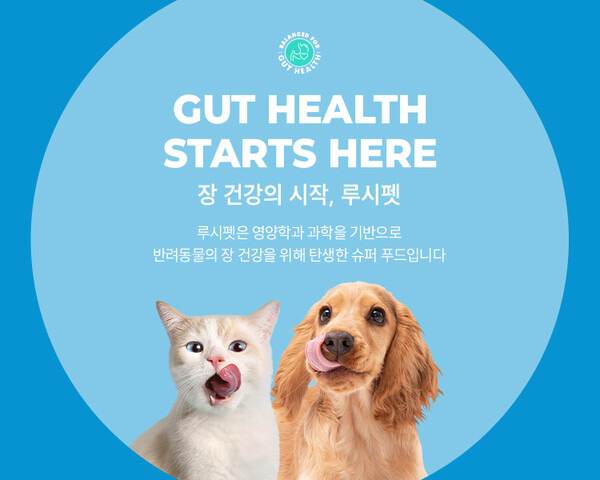 미국 루시펫 프로덕츠(Lucy Pet Products)의 공식 한국 파트너 루시펫 코리아(Lucy Pet Korea)는 반려견과 반려묘의 사료 판매를 공식 홈페이지와 스마트스토어 등 온라인을 통해 재개했다. ⓒ루시펫코리아