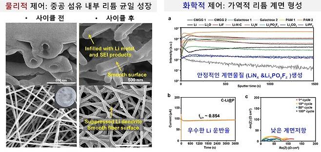개발된 중공 나노섬유 보호막을 통한 리튬 수지상 결정의 물리·화학적 제어.