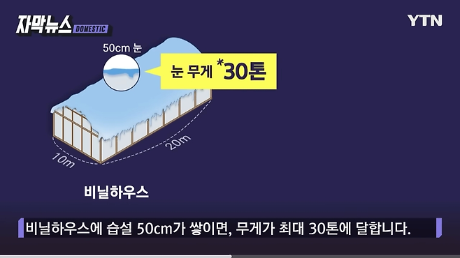 폭설때 안양 농수산물도매시장 무너진 이유 떴나