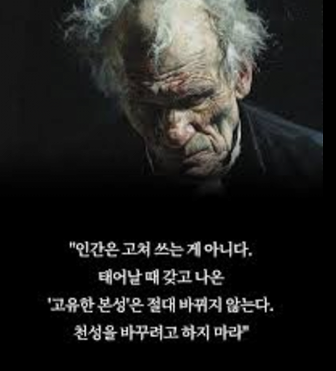 image.png 백종원이 읽어야할 책 쇼펜하우어