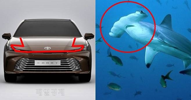 귀상어에서 영감을 얻은 전면부 [사진출처=토요타, 매경DB/편집=최기성 매경닷컴 기자]