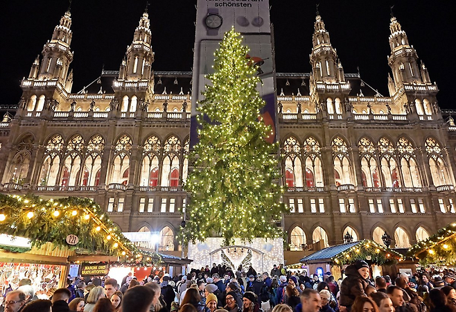 비엔나 크리스마스 마켓 / 사진=비엔나 아이스 드림 페이스북