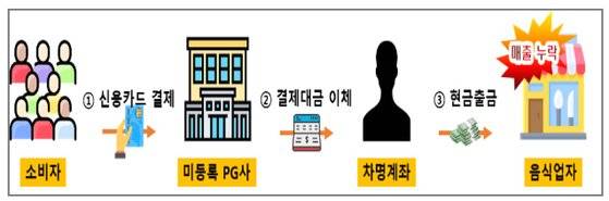 미등록 결제대행업체를 이용하여 결제대금은 차명계좌로 수취하는 방법으로 조세포탈 사례. 국세청