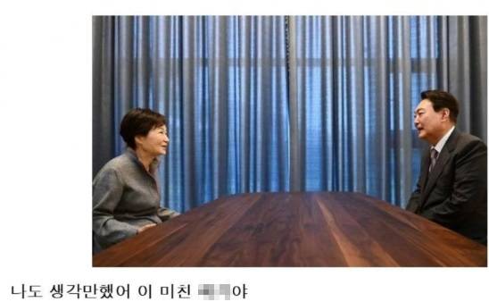 박근혜 전 대통령 사진을 활용한 계엄 관련 패러디물. 온라인 커뮤니티 캡처