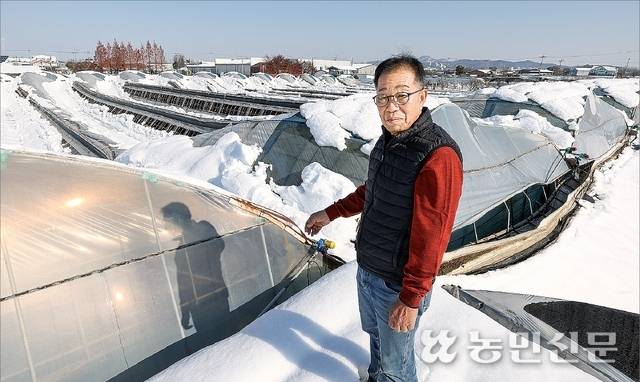 경기 평택시 진위면에서 방울토마토를 재배하는 정병호씨(69)가 눈의 무게를 견디지 못해 무너진 비닐하우스를 가리키며 피해 상황을 설명하고 있다. 평택=이종수 기자